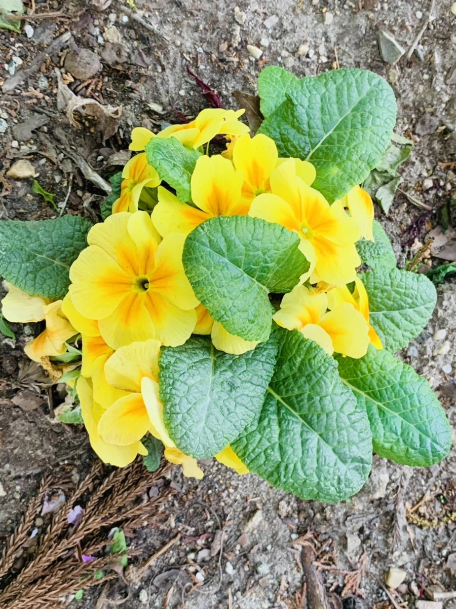 IMG_9028.jpg?type=w966