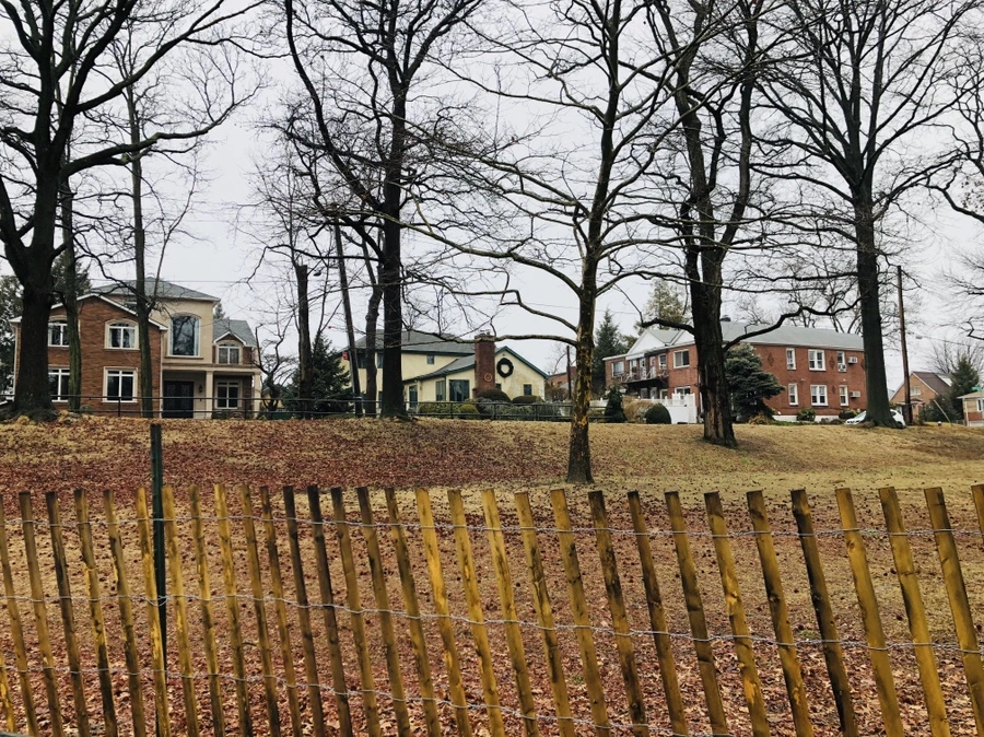 IMG_0031.jpg?type=w966