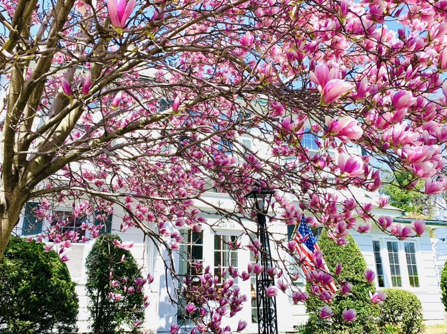 IMG_8574.jpg?type=w966