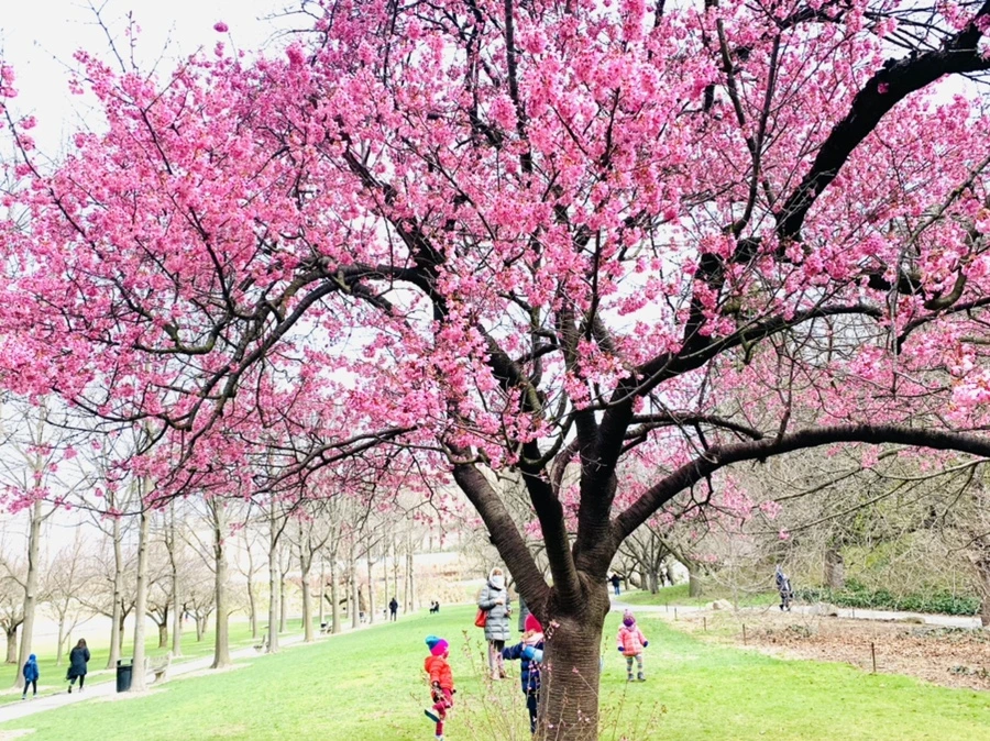 IMG_6420.jpg?type=w966