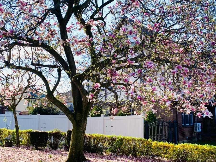 IMG_2707.jpg?type=w966