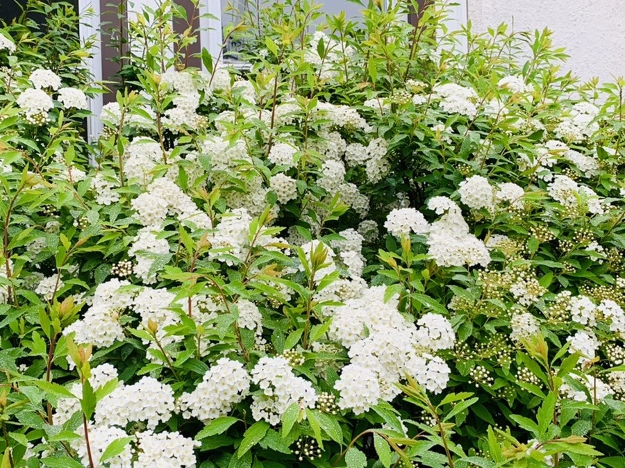 893bk-Uv4HdUkh93wAw0SP2gVR8