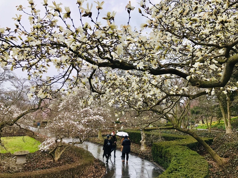 IMG_2364.jpg?type=w966