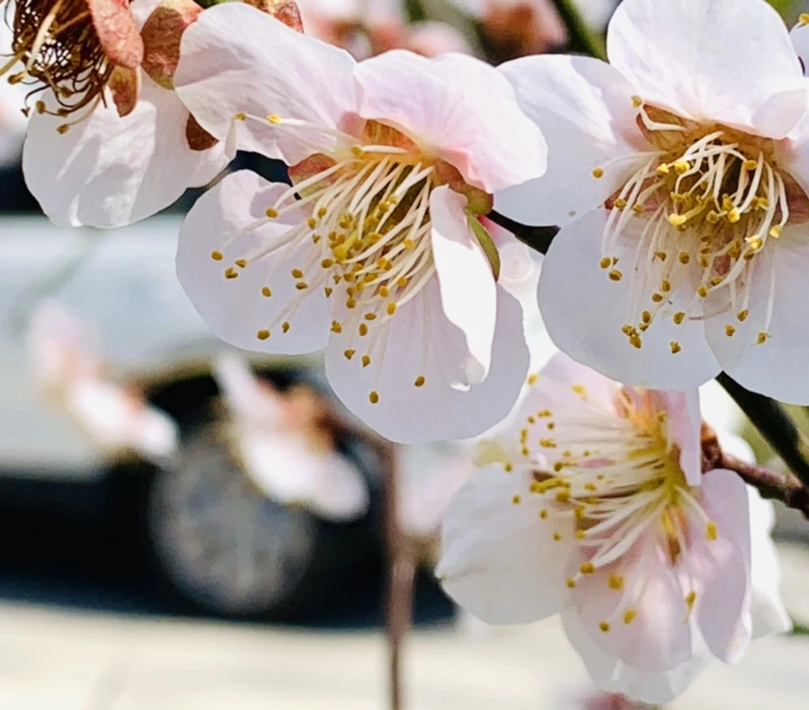 IMG_0993.jpg?type=w966