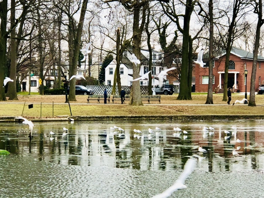 IMG_3286.jpg?type=w966