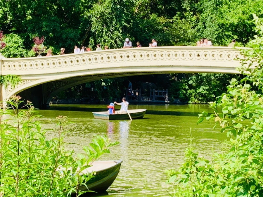 IMG_4487.jpg?type=w966