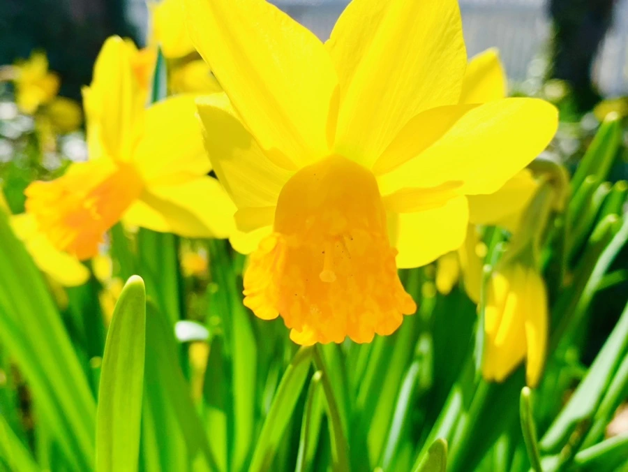 IMG_5700.jpg?type=w966