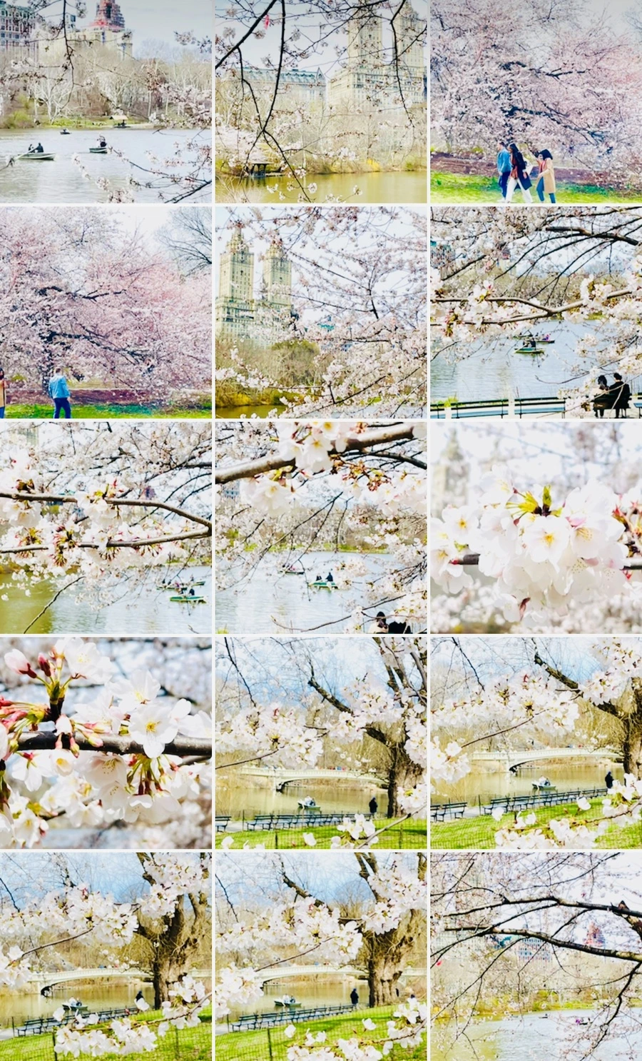 IMG_8990.jpg?type=w966