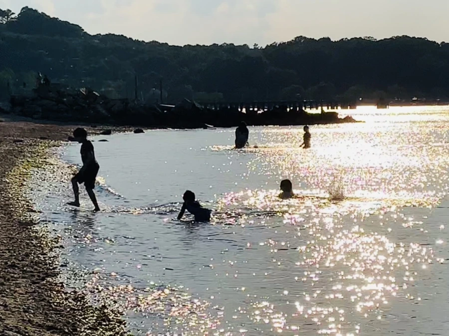 IMG_1282.jpg?type=w966