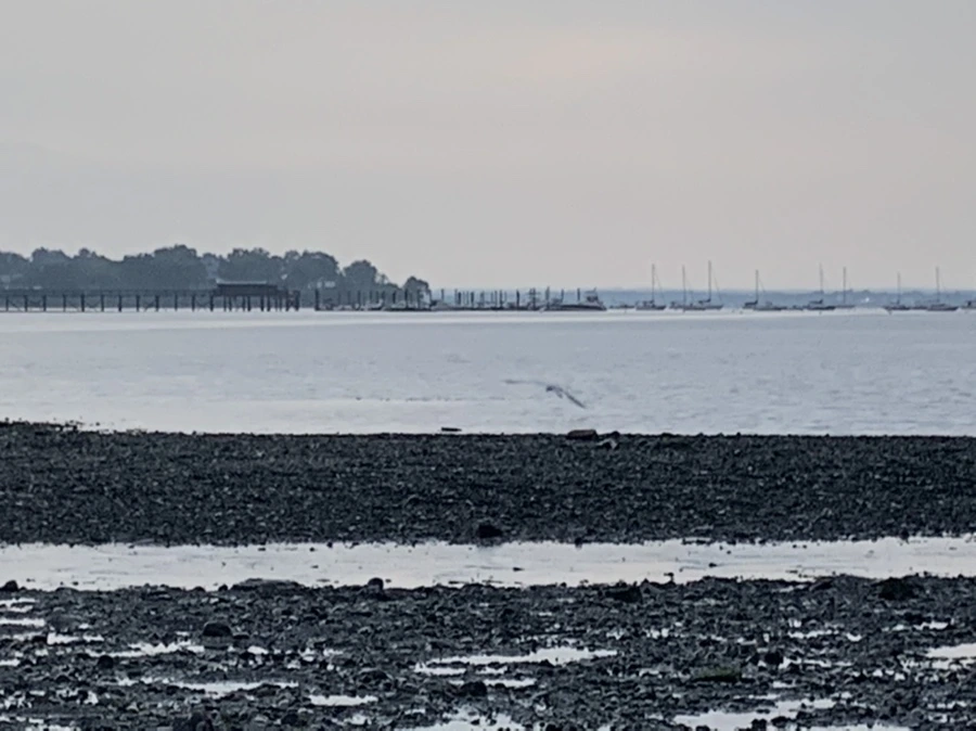 IMG_8180.jpg?type=w966