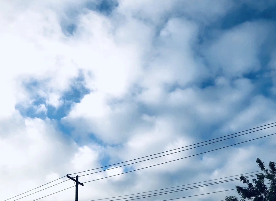 IMG_9681.jpg?type=w966