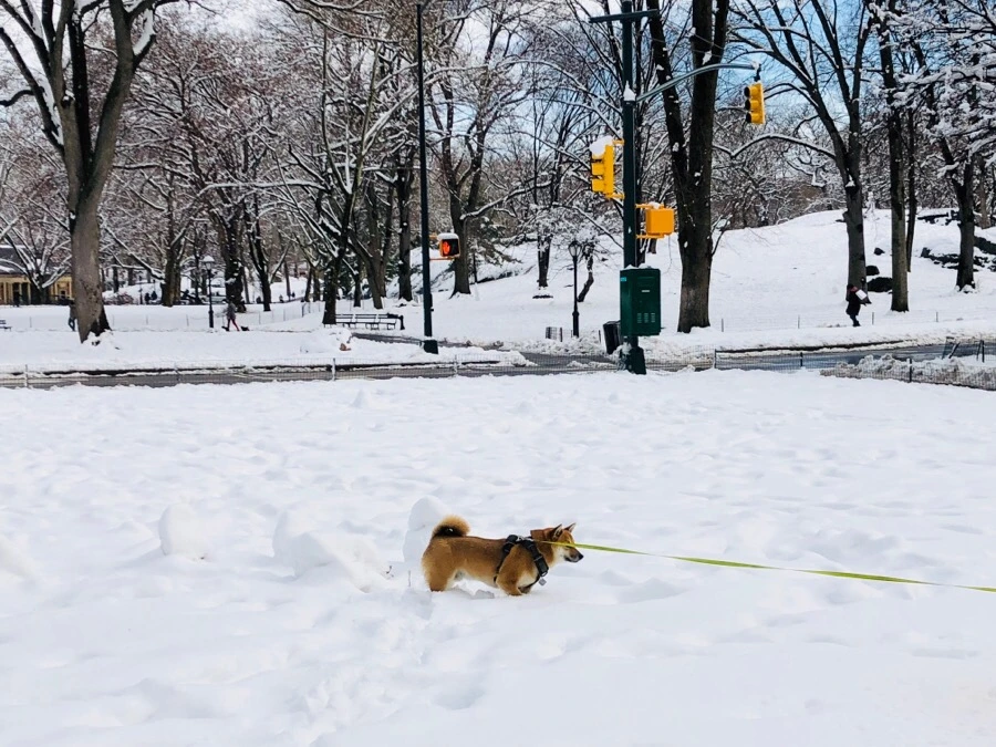 IMG_3471.jpg?type=w966