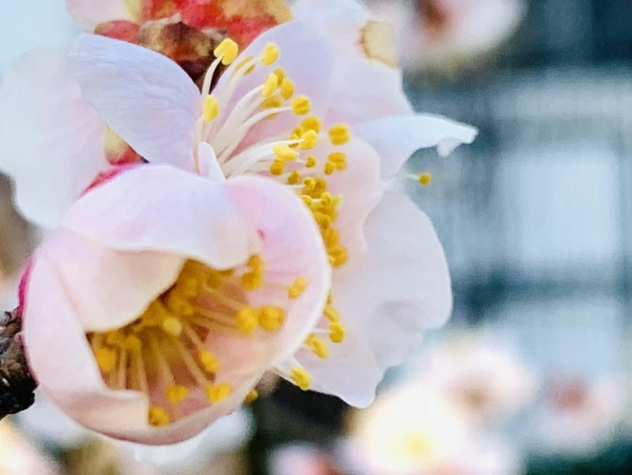 IMG_0900.jpg?type=w966