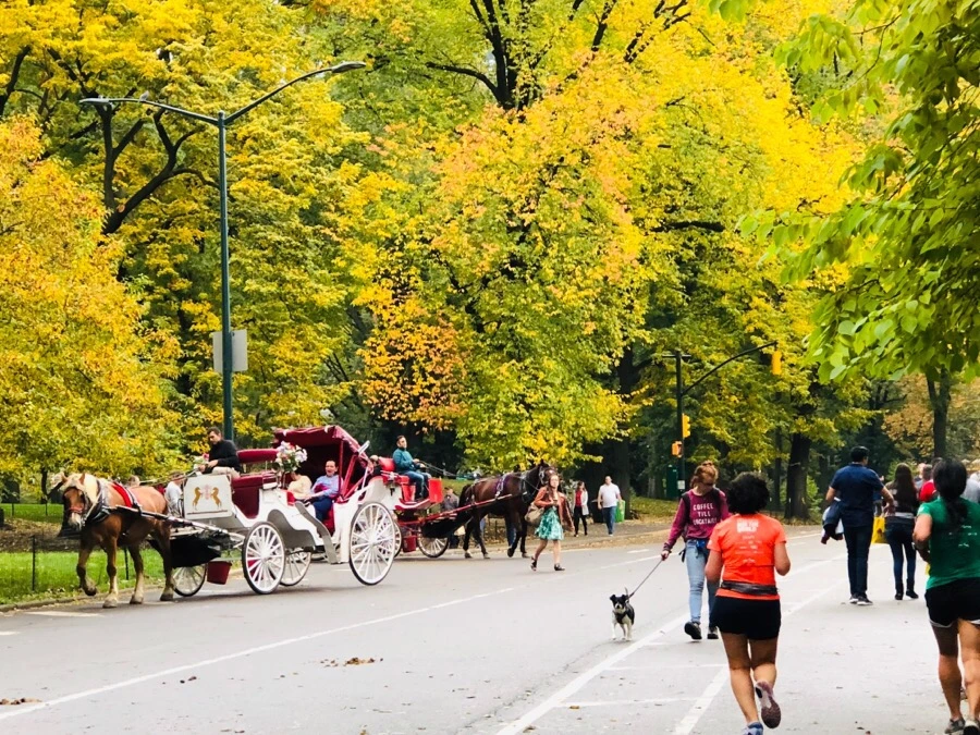 IMG_7260.jpg?type=w966