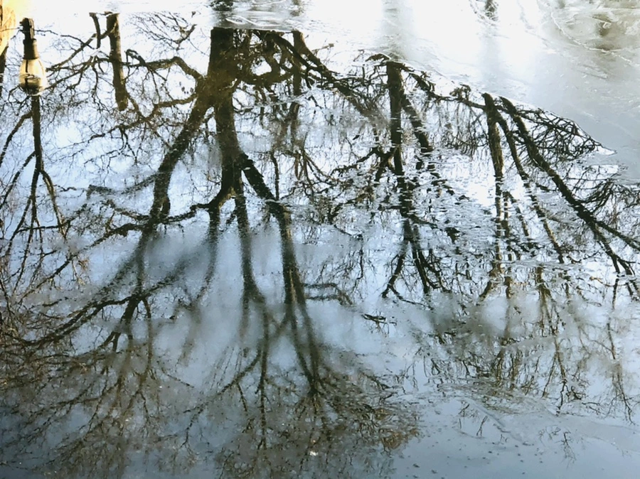 IMG_2248.jpg?type=w966