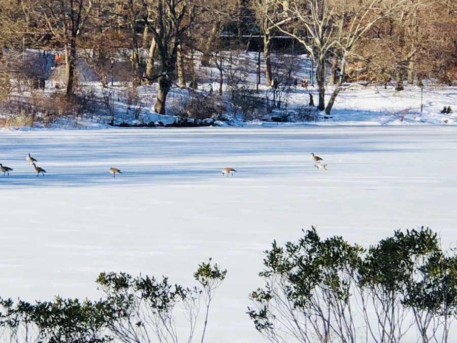 IMG_9842.jpg?type=w966