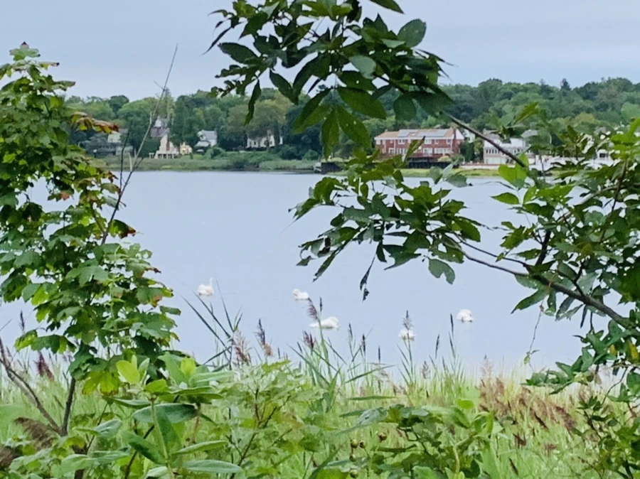 IMG_6164.jpg?type=w966