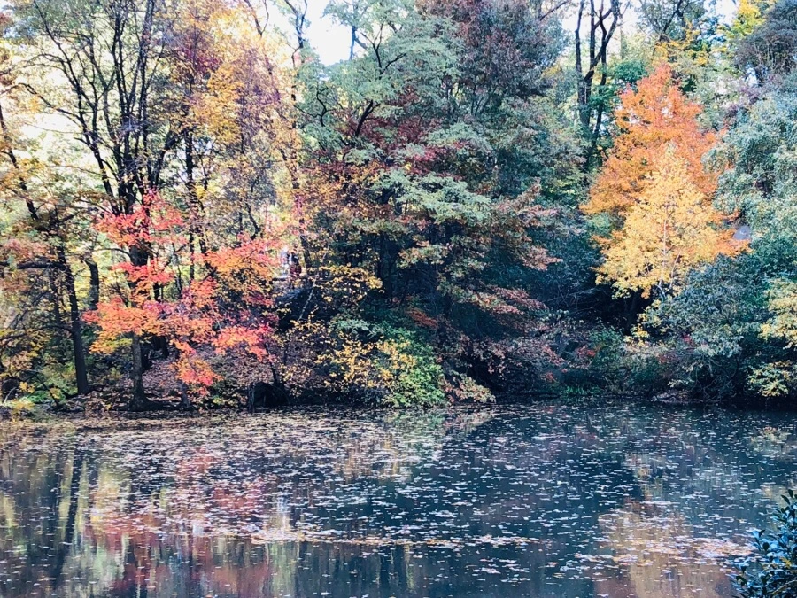 IMG_7314.jpg?type=w966