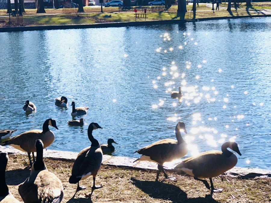 IMG_0206.jpg?type=w966