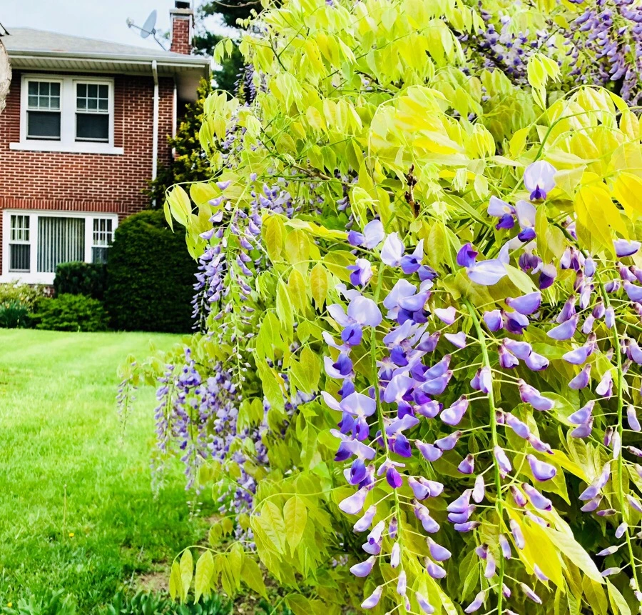 IMG_5582.jpg?type=w966