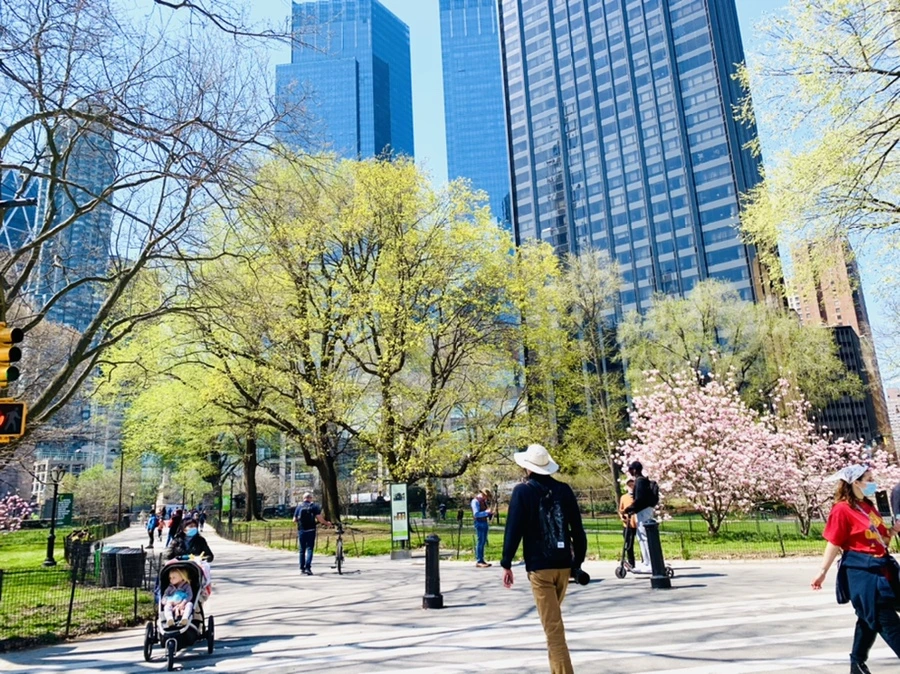 IMG_8899.jpg?type=w966