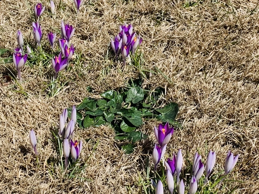 IMG_8239.jpg?type=w966