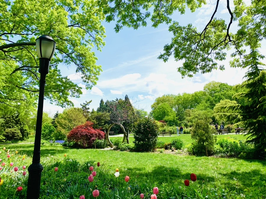 IMG_1394.jpg?type=w966