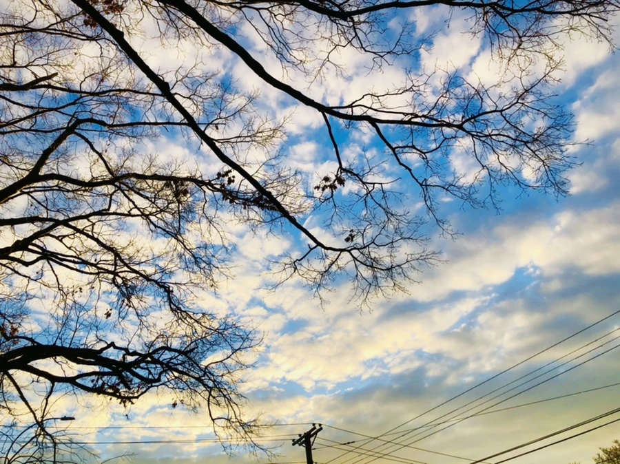 IMG_4862.jpg?type=w966