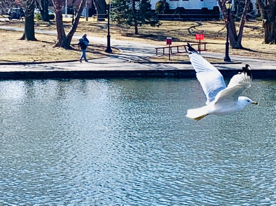 IMG_9378.jpg?type=w966