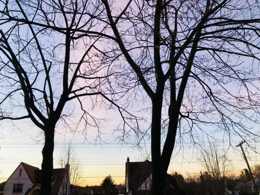 IMG_5616.jpg?type=w966