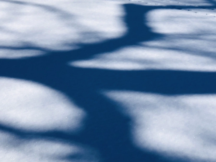 IMG_3942.jpg?type=w966