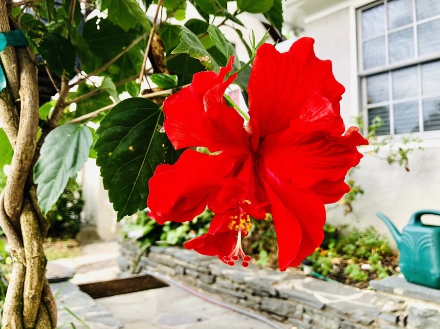 pqpo9eL6VJnBIKFwAtTF5TLBaFw