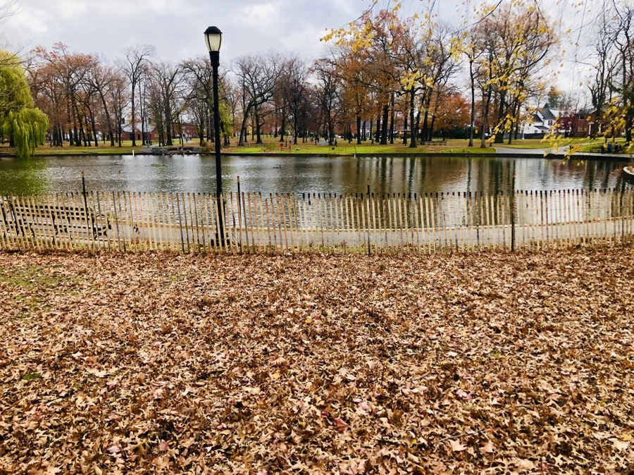 IMG_5436.jpg?type=w966