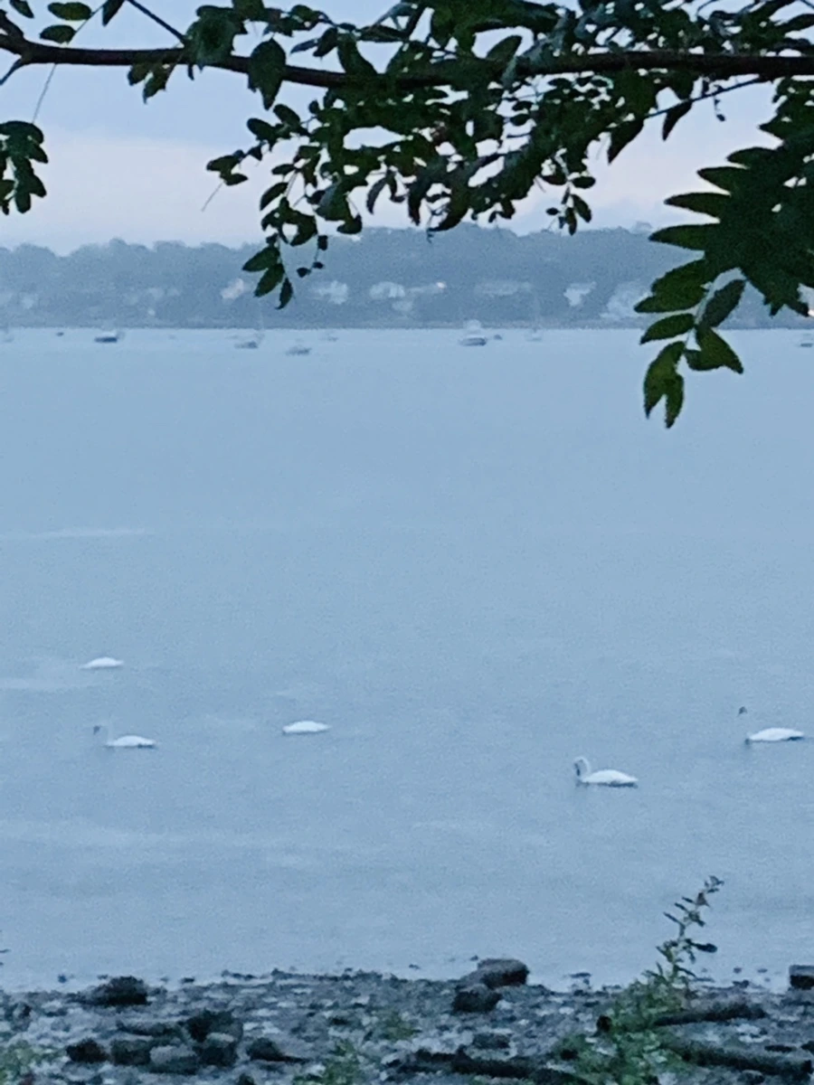 IMG_9251.jpg?type=w966