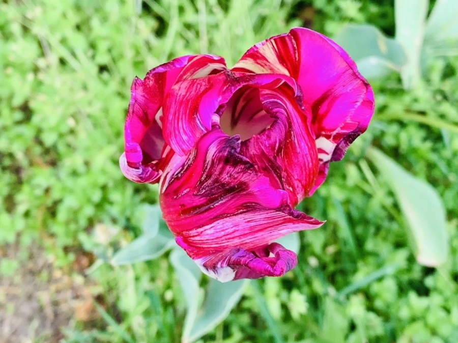 IMG_9067.jpg?type=w966