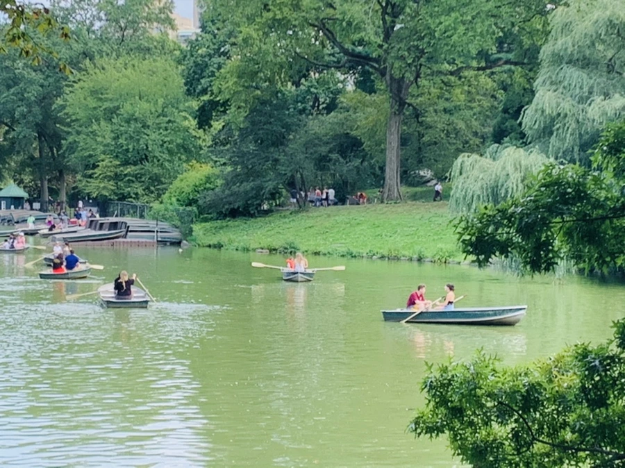 IMG_1594.jpg?type=w966