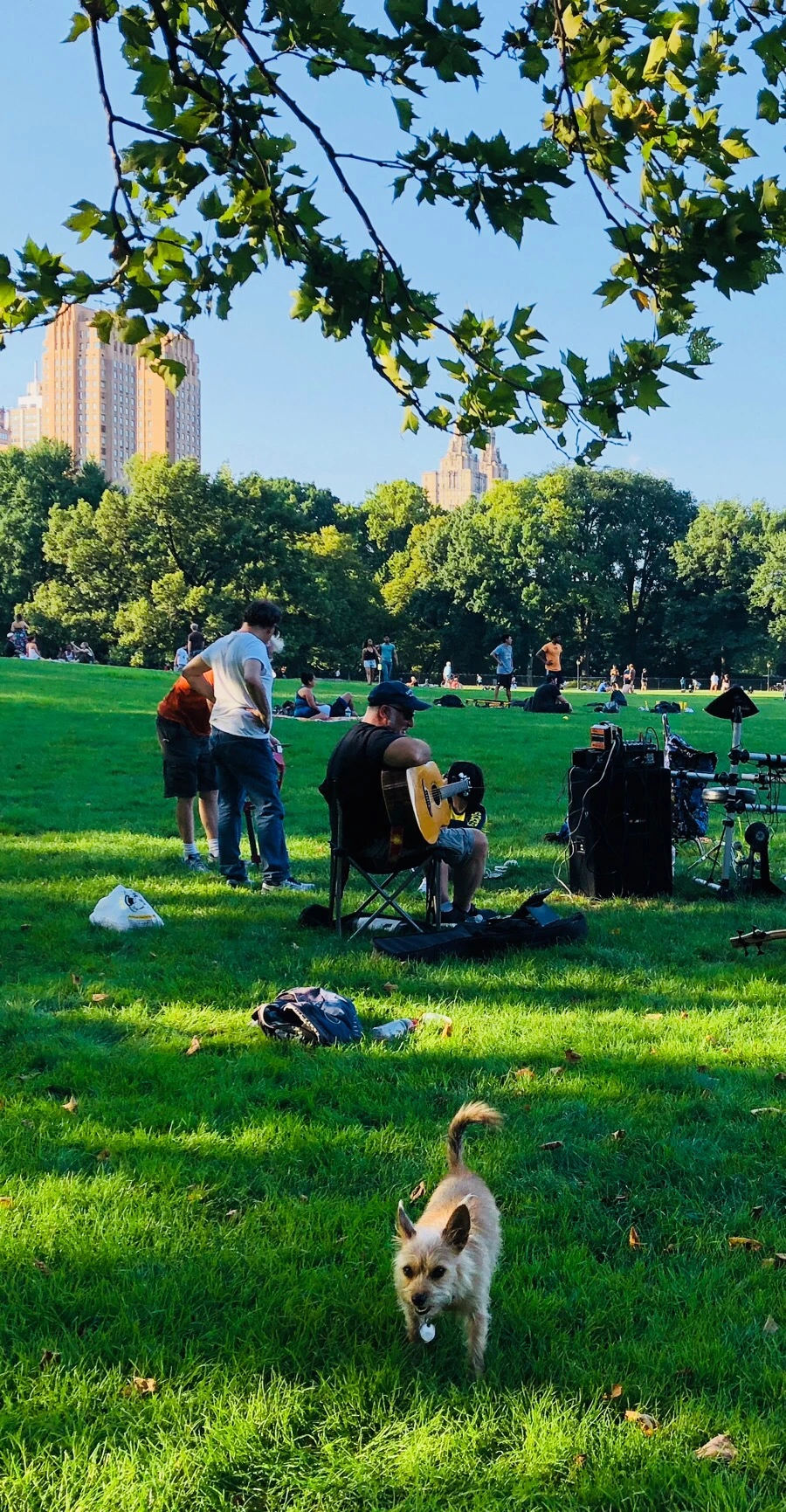 IMG_1099.jpg?type=w966