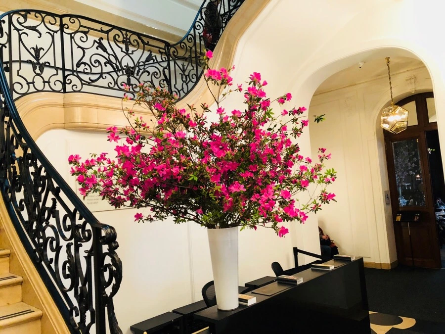 IMG_4138.jpg?type=w966