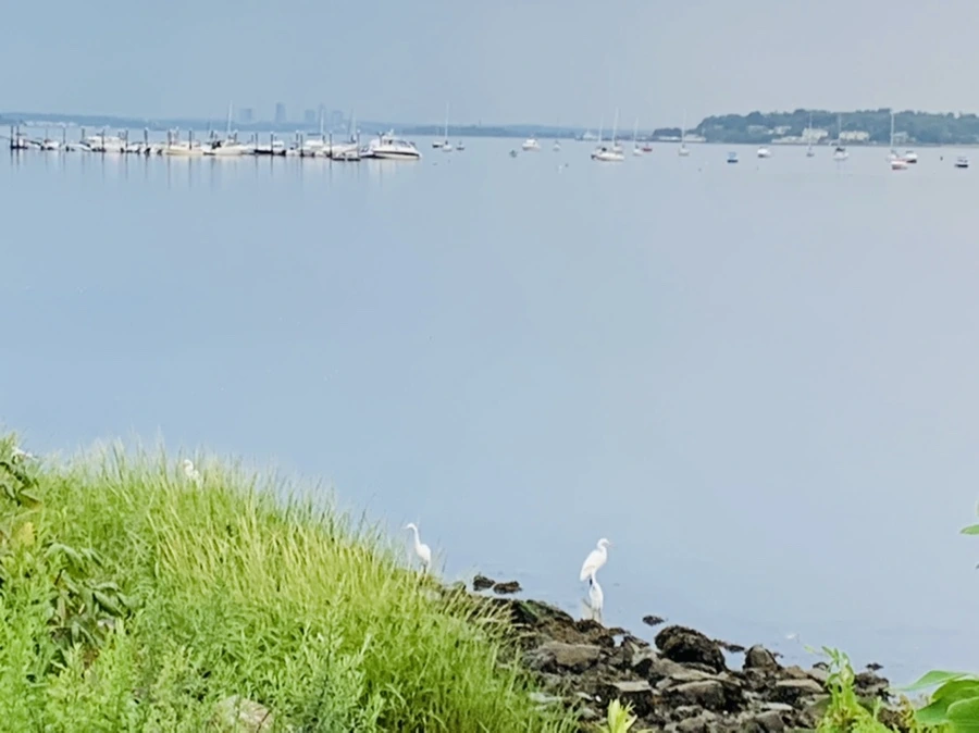 IMG_0573.jpg?type=w966