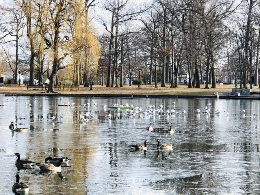 IMG_8468.jpg?type=w966