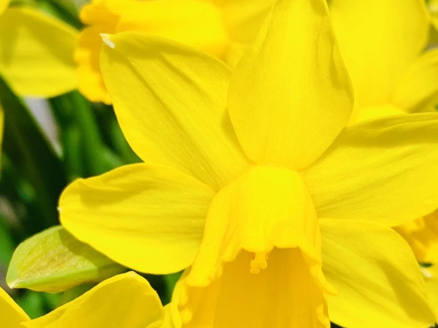 IMG_3395.jpg?type=w966