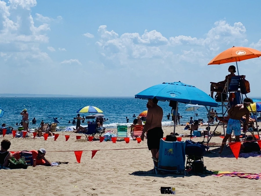 IMG_8810.jpg?type=w966