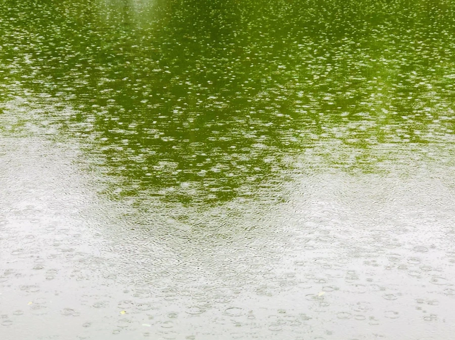 IMG_3249.jpg?type=w966