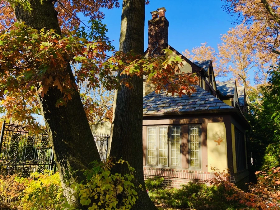 IMG_4153.jpg?type=w966