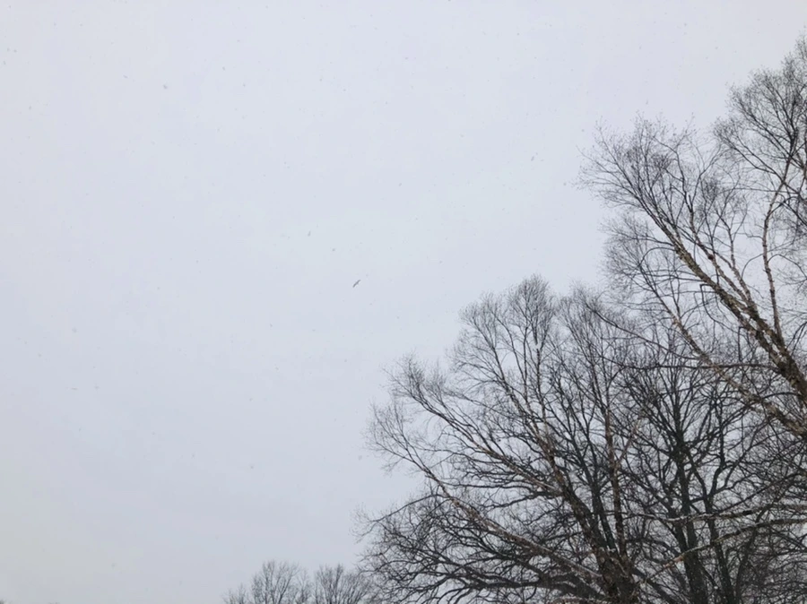 IMG_3366.jpg?type=w966