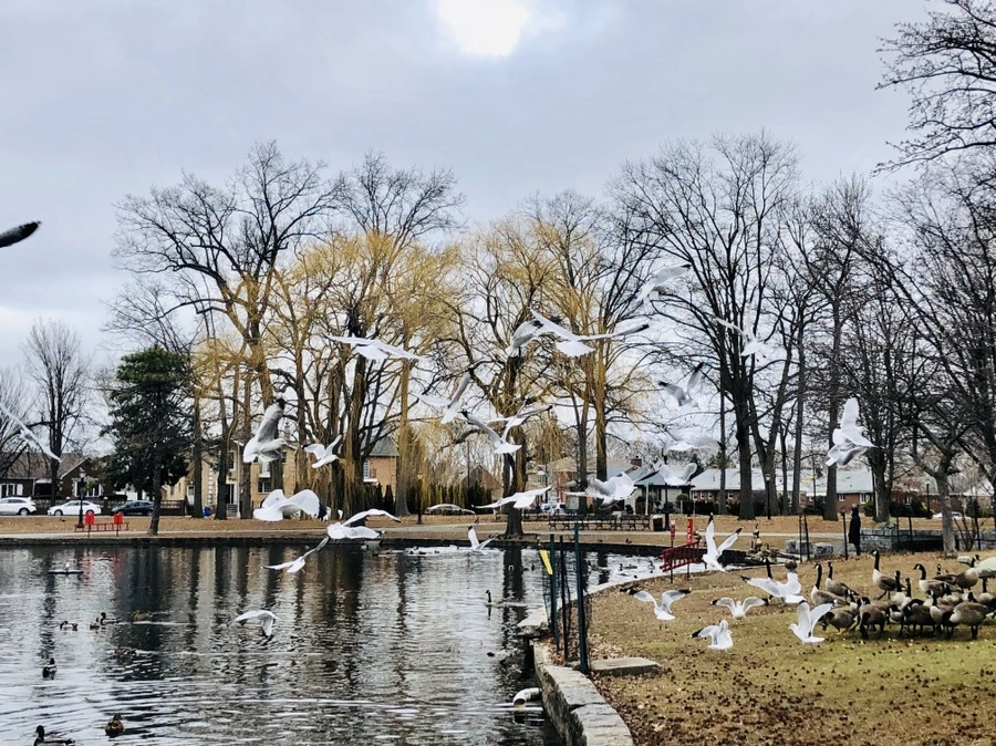 IMG_3474.jpg?type=w966