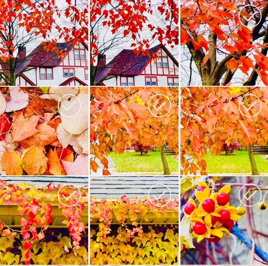 An8uu3BXuiTbVaqeHQxAl-92x6E