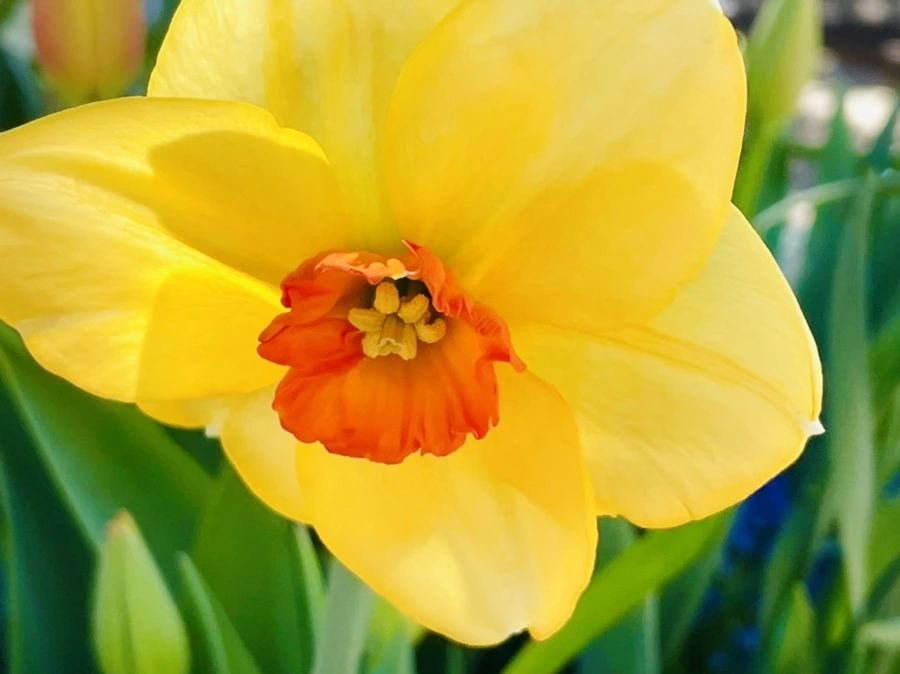 IMG_2062.jpg?type=w966