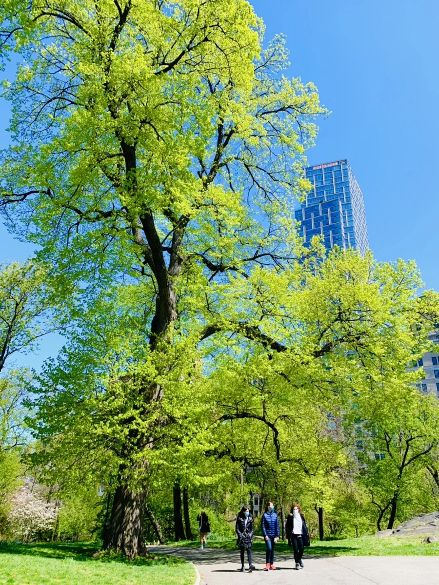 IMG_5706.jpg?type=w966