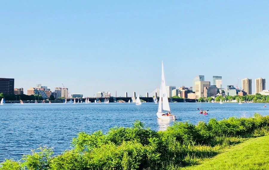 IMG_6782.jpg?type=w966